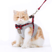 Wok kitty hoopet cat rope cat cat trailing cat rope cat traction rope suit chest strap pet cat collar XS