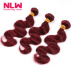 NLW 10A Brazilian virgin human hair 3 bundles Body wave hair extensions 99j Hair color