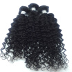 Goss Hair Factory Wholesale Price Virgin Peruvian Curly Hair 3 Bundles 8A Unprocessed Human Hair Weave Peruvian Jerry Curly