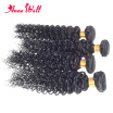 Anne Well Hair Malaysian Curly Hair 4 Bundles Malaysian Virgin Hair Malaysian Kinky Curly Virgin Hair Malaysian Curly Weave