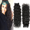 Eurasian Virgin Hair Curly Wavy Eurasian Natural Wave Virgin Hair Water Ocean Wave Human Hair Extensions 4 Bundles Deals