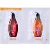 Seeyoung Tea Seed Care Experience Pack 6ml6ml for oily scalp