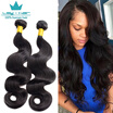Unprocessed Peruvian Virgin Hair Body Wave 3 Bundles Rosa Hair Products Peruvian Body Wave Virgin Hair Human Hair Bundles