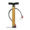 Rui Shi Bao ROBESBON portable multi-function bicycle electric car basketball inflatable swimming ring pump with gas needle