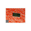 Free shipping 10PCS TLE6255G