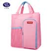 Larkpad Student Childrens Handbag