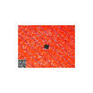 Free shipping 5PCS BQ725 BQ24725 PQ725 PBQ725 in stock