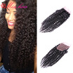 Rosa Hair Products With Closure 1 Bundle 7A Brazilian Curly Hair With Closure Brazilian Virgin Hair With Closure Human Hair