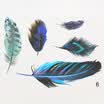 LMA Loma Personality 3D Sticker Color Feather Car Sticker