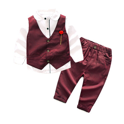 Baby Boys Clothing Sets Kids Clothes Autumn Baby Sets Kids Long Sleeve Sports Suits Striped Vest Shirt Pants Boys Clothes
Baby Boys Clothing Sets Kids Clothes Autumn Baby Sets Kids Long Sleeve Sports Suits Striped Vest Shirt Pants Boys Clothes