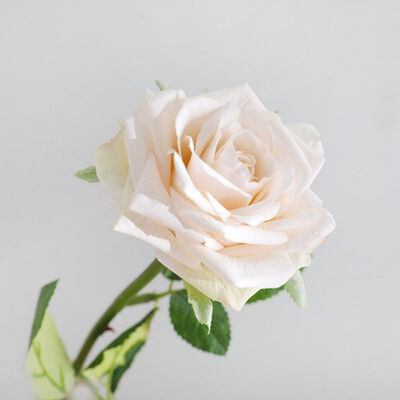 European style silk rose bouquet single romantic rose artificial flower wedding hotel window decoration fake ornaments
European style silk rose bouquet single romantic rose artificial flower wedding hotel window decoration fake ornaments