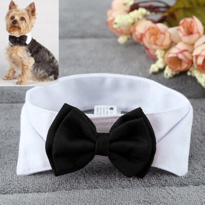 Pet Puppy Kitten Dogs Cat Adjustable Bow Tie Collar Necktie Bowknot Necklace Strap Clothes Set
Pet Puppy Kitten Dogs Cat Adjustable Bow Tie Collar Necktie Bowknot Necklace Strap Clothes Set