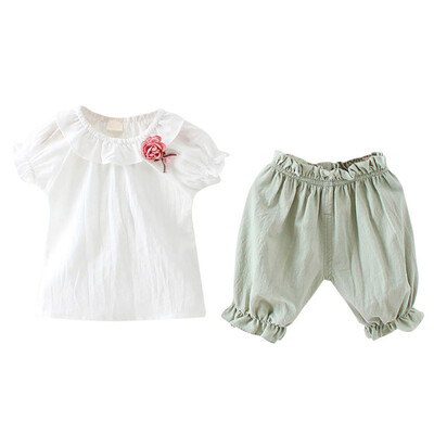 Baby Girls Clothes Set Summer Short Sleeve T-shirt Shorts Childrens Flower Suits Cotton Flowers T-shirt Girls Clothes Set
Baby Girls Clothes Set Summer Short Sleeve T-shirt Shorts Childrens Flower Suits Cotton Flowers T-shirt Girls Clothes Set