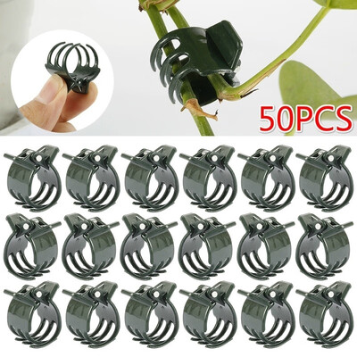 50Pcs Large Plant Support Clips Garden Orchid Clips for Supporting Flower Plant Stem Vines
50Pcs Large Plant Support Clips Garden Orchid Clips for Supporting Flower Plant Stem Vines