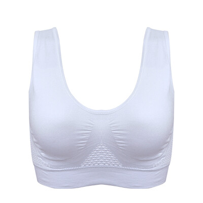 Comfortable Shockproof Sports Bra Mesh Hollow Out Breathable Bra Vest Yoga Push-up Fitness Support Sportswear Top
Comfortable Shockproof Sports Bra Mesh Hollow Out Breathable Bra Vest Yoga Push-up Fitness Support Sportswear Top