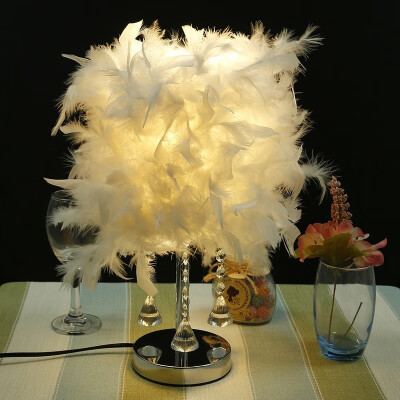 Willstar Bedside Reading Room Sitting Room Heart Shape Feather Crystal Table Lamp Light Home Decor
Willstar Bedside Reading Room Sitting Room Heart Shape Feather Crystal Table Lamp Light Home Decor
