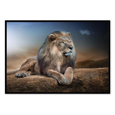 5D DIY Diamond Painting Lion Mosaic Portrait Rhinestone Round Diamond Embroidery Painting Cross Stitch Kit Home Wall Decor
5D DIY Diamond Painting Lion Mosaic Portrait Rhinestone Round Diamond Embroidery Painting Cross Stitch Kit Home Wall Decor