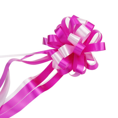 10pcs Wedding decoration Bright Color Pull Bows Florist Craft Pull Bows With Ribbon Gift Wrapping Car Decoration
10pcs Wedding decoration Bright Color Pull Bows Florist Craft Pull Bows With Ribbon Gift Wrapping Car Decoration