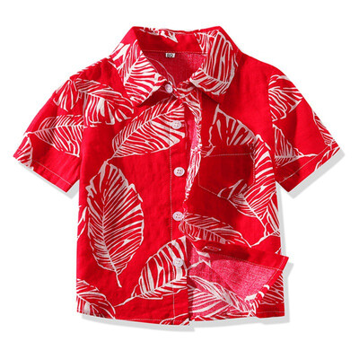 Summer Baby Clothes Boys Shirts Short Sleeve Floral Print Shirts Kids Tops Tees Shirts Fashion Blouse 1
Summer Baby Clothes Boys Shirts Short Sleeve Floral Print Shirts Kids Tops Tees Shirts Fashion Blouse 1