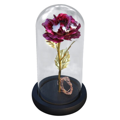 Artificial Gold Foil Rose Flower&LED Light String In Glass Dome On Wooden Base The Best Gift For Women
Artificial Gold Foil Rose Flower&LED Light String In Glass Dome On Wooden Base The Best Gift For Women