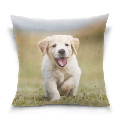 ALAZA Throw Pillow Case Decorative Pillow Covers 16 X 16 inch Happy Golden Retriever Puppy Pattern Pillowcase
ALAZA Throw Pillow Case Decorative Pillow Covers 16 X 16 inch Happy Golden Retriever Puppy Pattern Pillowcase