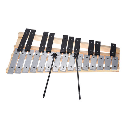 25 Note Glockenspiel Xylophone Educational Musical Instrument Percussion Gift with Carrying Bag
25 Note Glockenspiel Xylophone Educational Musical Instrument Percussion Gift with Carrying Bag