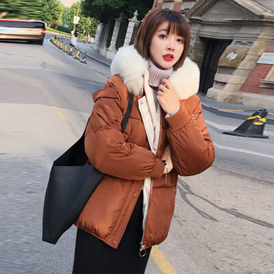 JOY OF JOY 2018 winter new cotton suit slim thick coat female bread clothes jacket Korean version of the short loose cotton coat female JWMF189368 brown
JOY OF JOY 2018 winter new cotton suit slim thick coat female bread clothes jacket Korean version of the short loose cotton coat female JWMF189368 brown