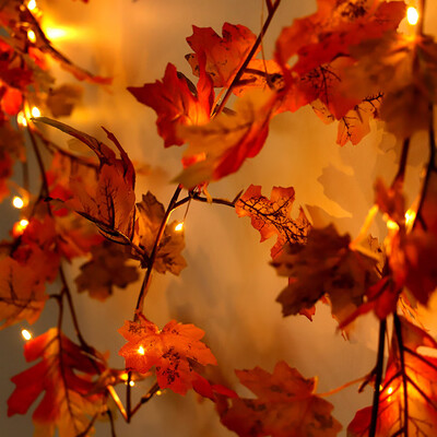 Willstar Maple Leaf String Lights Christmas Garlands Decorations for Fireplaces Stairs for Christmas Thanksgiving Halloween
Willstar Maple Leaf String Lights Christmas Garlands Decorations for Fireplaces Stairs for Christmas Thanksgiving Halloween