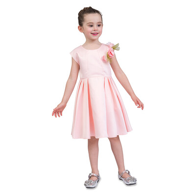 Girls Dress Cute Casual Flower Pricess Dress Kids Formal Evening Dress Kid Clothing For 7-8T Pink
Girls Dress Cute Casual Flower Pricess Dress Kids Formal Evening Dress Kid Clothing For 7-8T Pink