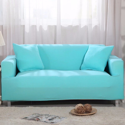 Sofa Cover All-inclusive Universal Cover sky blue Thick Non-slip Four Seasons Elastic Sofa Cover
Sofa Cover All-inclusive Universal Cover sky blue Thick Non-slip Four Seasons Elastic Sofa Cover