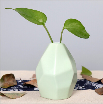 Ceramic vase handicraft multi faceted flower&flower implement office furniture table top decoration ceramic bottle
Ceramic vase handicraft multi faceted flower&flower implement office furniture table top decoration ceramic bottle