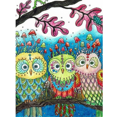 DIY Diamond Painting Cross Stitch Cute Owls Full Round Diamond Embroidery Rhinestone Home Decor Handwork Gift Canvas size 3040cm
DIY Diamond Painting Cross Stitch Cute Owls Full Round Diamond Embroidery Rhinestone Home Decor Handwork Gift Canvas size 3040cm