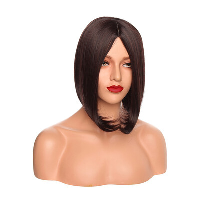 12 Inches Ombre Wigs Short Bob Hair Wigs Synthetic Cosplay Daily Party Wig for Women
12 Inches Ombre Wigs Short Bob Hair Wigs Synthetic Cosplay Daily Party Wig for Women
