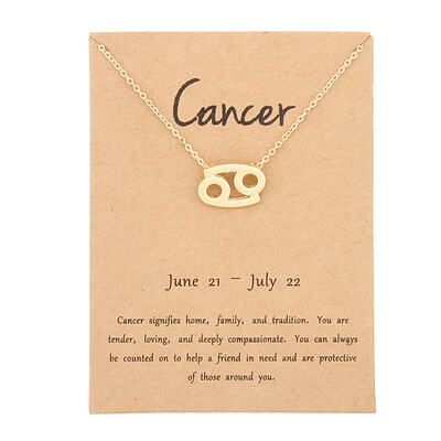 12 Constellation Pendant Necklace Zodiac Sign Necklace Birthday Gifts Message Card for Women Girl
12 Constellation Pendant Necklace Zodiac Sign Necklace Birthday Gifts Message Card for Women Girl
