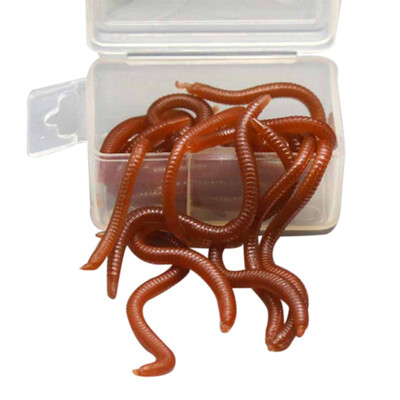 20g Artificial Fishing Lures Earthworm Redworm Shaped Lifelike Reusable Cuttable Silicone Smell Worms Bait
20g Artificial Fishing Lures Earthworm Redworm Shaped Lifelike Reusable Cuttable Silicone Smell Worms Bait