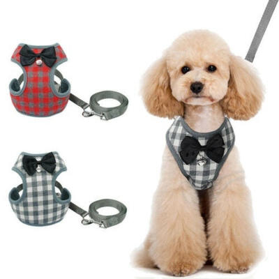Mesh Breathable Dog Adjustable Rope String Harness Leads Pet Puppy Leash Cotton Vest
Mesh Breathable Dog Adjustable Rope String Harness Leads Pet Puppy Leash Cotton Vest
