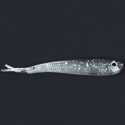 10pcslot Soft Lure 75mm Swimbaits Artificial Worm Soft Bait Fish Wobblers Carp Lead Sequins Flying Fishing Lure hot
10pcslot Soft Lure 75mm Swimbaits Artificial Worm Soft Bait Fish Wobblers Carp Lead Sequins Flying Fishing Lure hot