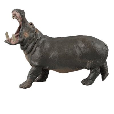 Tailored Educational Science Hippo Animal Model Ornament Figurine Toy For Kids Gift
Tailored Educational Science Hippo Animal Model Ornament Figurine Toy For Kids Gift