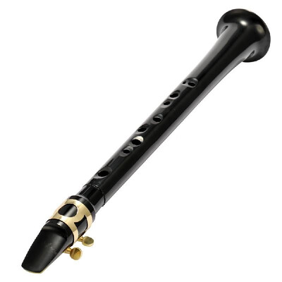 Black Pocket Sax Mini Portable Saxophone Little Saxophone With Carrying Bag Woodwind Instrument
Black Pocket Sax Mini Portable Saxophone Little Saxophone With Carrying Bag Woodwind Instrument
