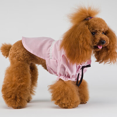Pet Clothes Cat Clothes Summer Dog Shirt Spring Colorful Cute Fashion Cheap Pet Clothes Clothing Shirt Dresses Supplies Products
Pet Clothes Cat Clothes Summer Dog Shirt Spring Colorful Cute Fashion Cheap Pet Clothes Clothing Shirt Dresses Supplies Products