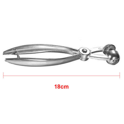 Easy Cherry Fruit Core Seed Remover Fruit Cherry Pitter Corer Seed Removal Easy
Easy Cherry Fruit Core Seed Remover Fruit Cherry Pitter Corer Seed Removal Easy