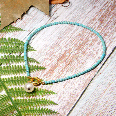 Colorful Seed Beads Choker for Women Fashion Trendy Gold Bohemian Summer pearl Chic Bib Collier Femme Cowrie Shell Necklace 2019
Colorful Seed Beads Choker for Women Fashion Trendy Gold Bohemian Summer pearl Chic Bib Collier Femme Cowrie Shell Necklace 2019