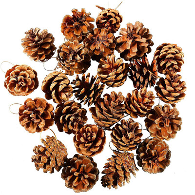 Gobestart 24pcs Christmas Pine Cones Bauble Xmas Tree Party Hanging Decoration Ornament
Gobestart 24pcs Christmas Pine Cones Bauble Xmas Tree Party Hanging Decoration Ornament