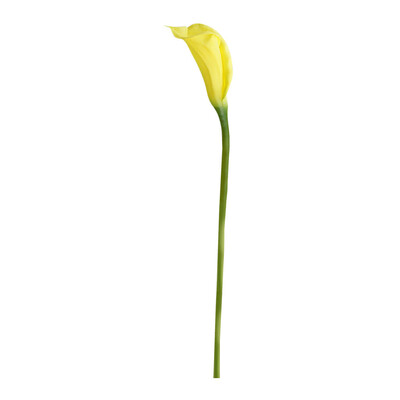 Toponeto Artificial Flower Artificial Calla Lily Fake Flower Wedding Home Decor Bouquet
Toponeto Artificial Flower Artificial Calla Lily Fake Flower Wedding Home Decor Bouquet