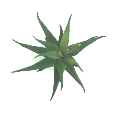 Simulations Mini Succulents Plastic Fake Green Artificial Plants Home Bedroom Lobby Table Decorations
Simulations Mini Succulents Plastic Fake Green Artificial Plants Home Bedroom Lobby Table Decorations