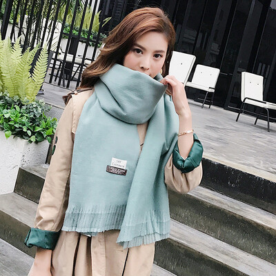 SKY new product 2017 autumn&winter new soft solid color imitation cashmere scarf couple warm shawl wholesale
SKY new product 2017 autumn&winter new soft solid color imitation cashmere scarf couple warm shawl wholesale