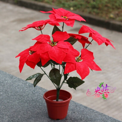 Simulation of flowers silk flowers artificial flowers 7 Christmas flowers simulation of Poinsettia potted plant Christmas red
Simulation of flowers silk flowers artificial flowers 7 Christmas flowers simulation of Poinsettia potted plant Christmas red