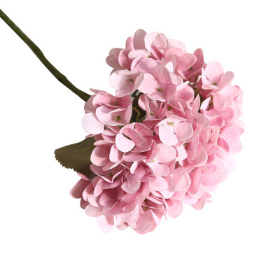 〖Follure〗Hydrangea Macarons Artificial Flower Plant Bonsai Wedding Decorations INS Wind
〖Follure〗Hydrangea Macarons Artificial Flower Plant Bonsai Wedding Decorations INS Wind
