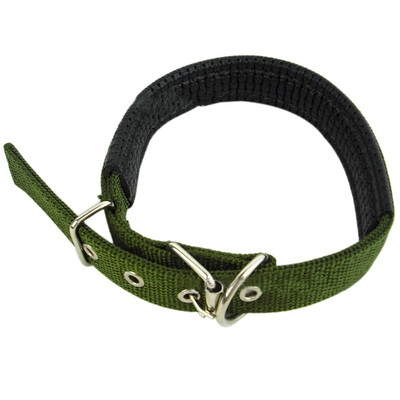 Soft Liner Nylon Padded Dog Pet Collars Neck Protection Safe Collar For Small Medium Large Dogs High Quality
Soft Liner Nylon Padded Dog Pet Collars Neck Protection Safe Collar For Small Medium Large Dogs High Quality