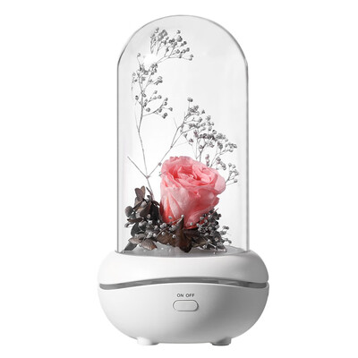 Gobestart LED USB Romantic Eternal Flower Aroma Lamp Colorful Ambience Lamp Rose Wedding
Gobestart LED USB Romantic Eternal Flower Aroma Lamp Colorful Ambience Lamp Rose Wedding